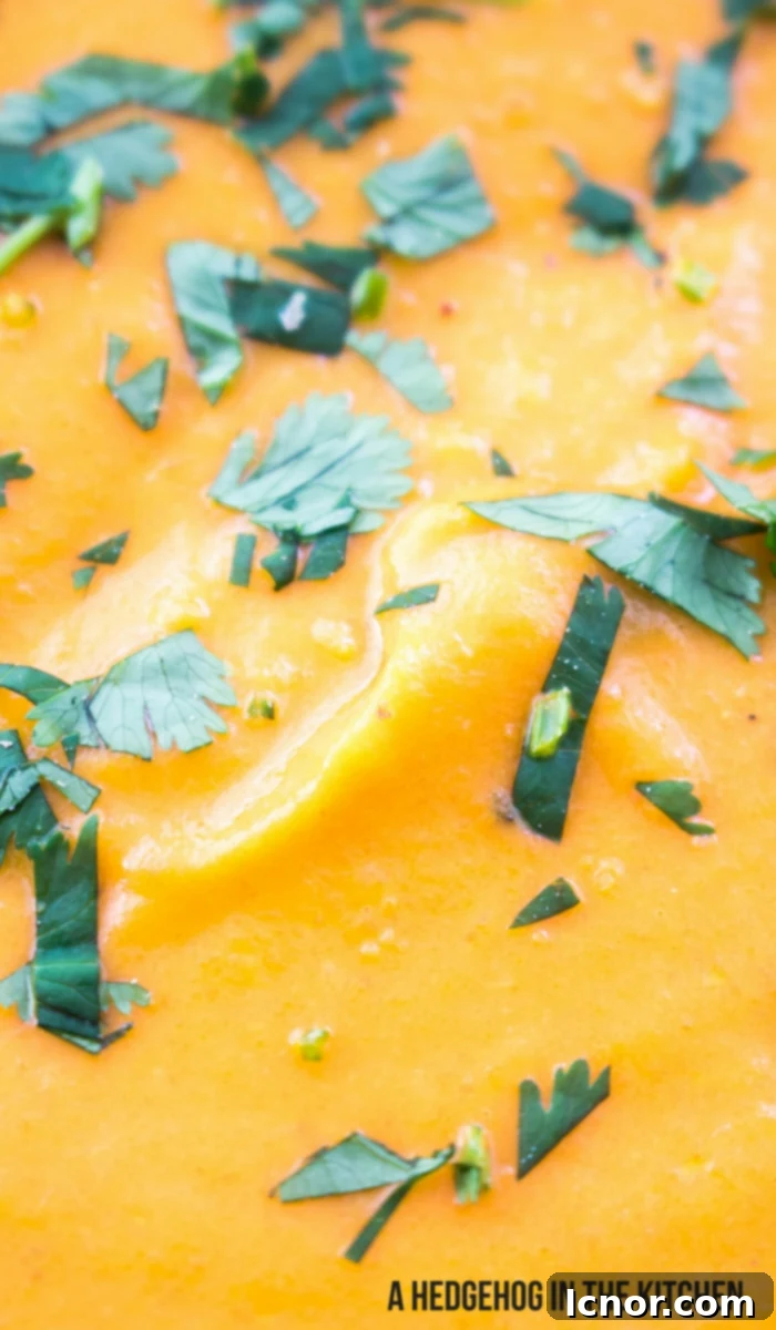 Creamy Carrot Coconut Curry Soup 5 Coconut Curry Soup #veganrecipes #coconutmilk #coconutcream #vegetarianrecipes. ahedgehoginthekitchen.com