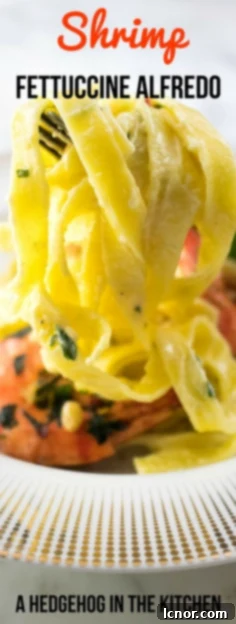 Shrimp Fettuccine Alfredo #fettuccinealfredo #pastarecipes #easydinners #shrimprecipe - ahedgehoginthekitchen.com