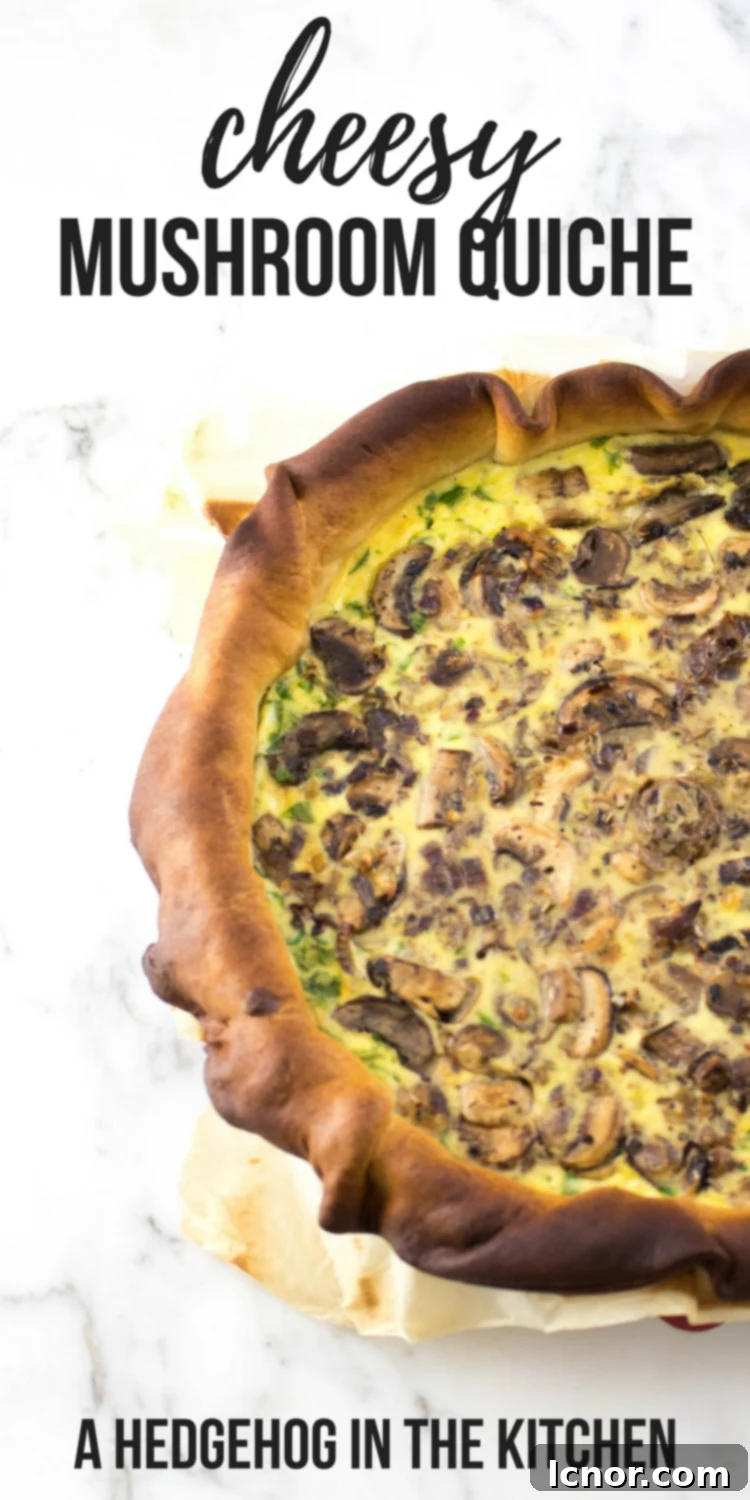 Close-up of a delicious cheesy mushroom quiche slice, showcasing the golden crust and creamy mushroom filling. Perfect for #quicherecipes enthusiasts.