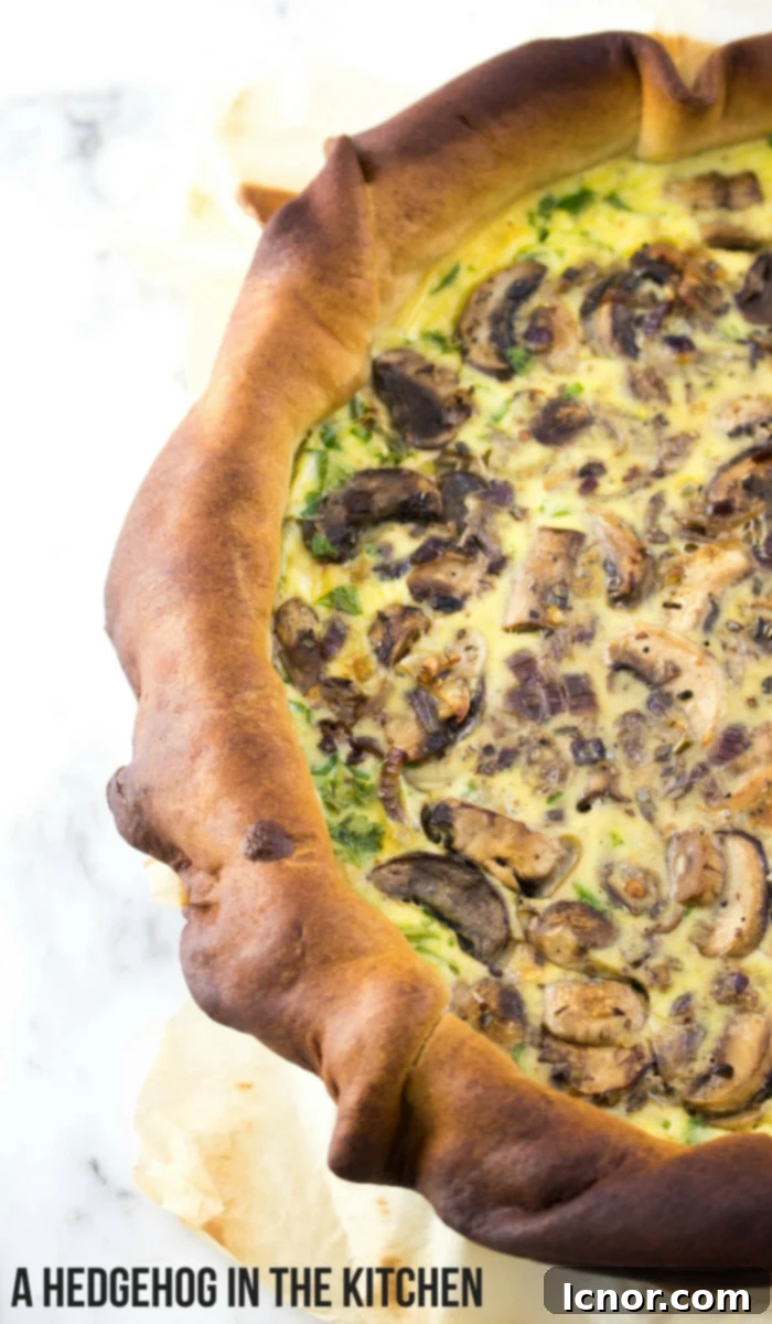 A perfectly baked cheesy mushroom quiche, golden brown and ready to be sliced, highlighting the texture and color of the dish. #MushroomQuiche #QuicheRecipes