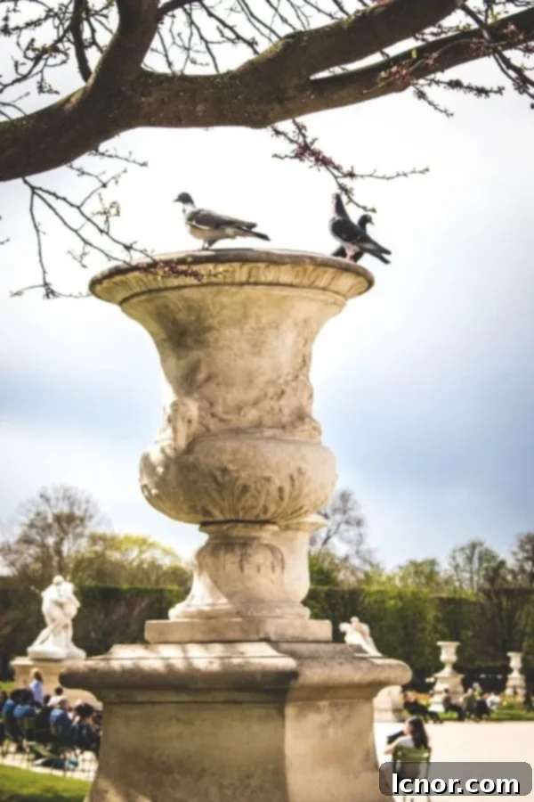 Penguins in the Tuileries Garden, a whimsical take on Parisian charm captured in quotes