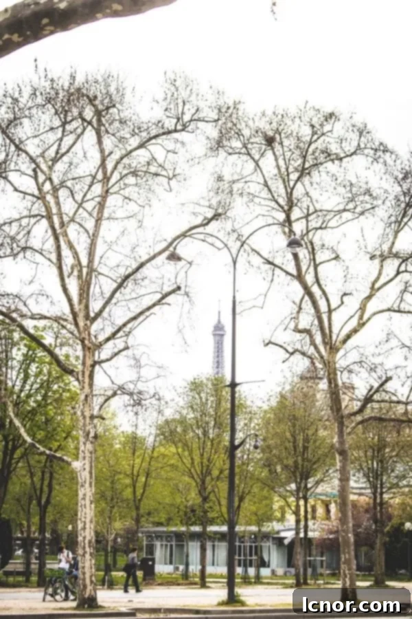 Eiffel Tower in the Fall, a quintessential image in any collection of Paris quotes