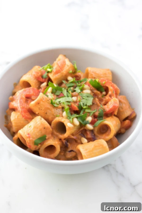 A vibrant bowl of creamy vegan tomato sauce with cashew nuts, served with Mezze Maniche pasta and fresh cilantro, offering a delightful plant-based meal.