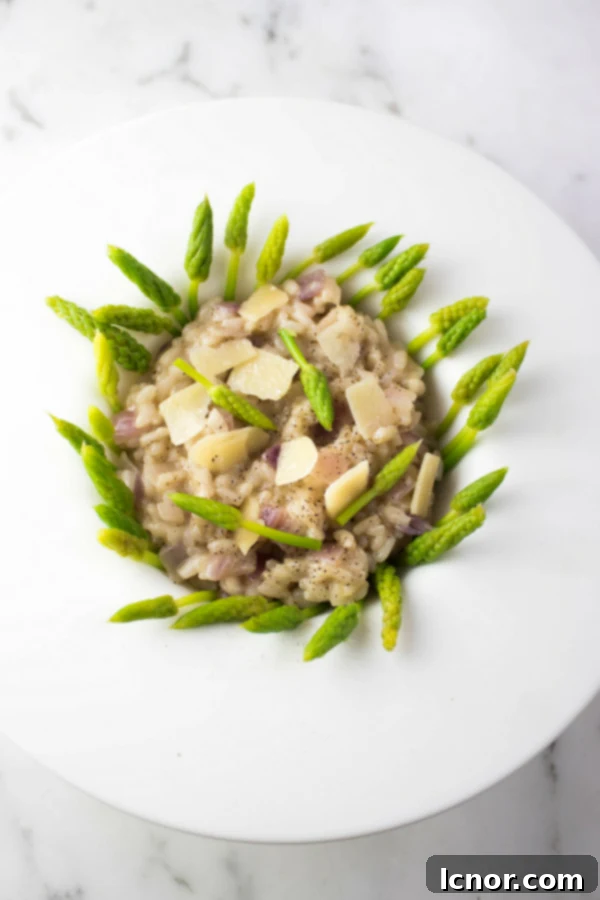 Close-up of a serving of creamy Wild Asparagus Risotto garnished with fresh asparagus spears and Parmesan cheese.