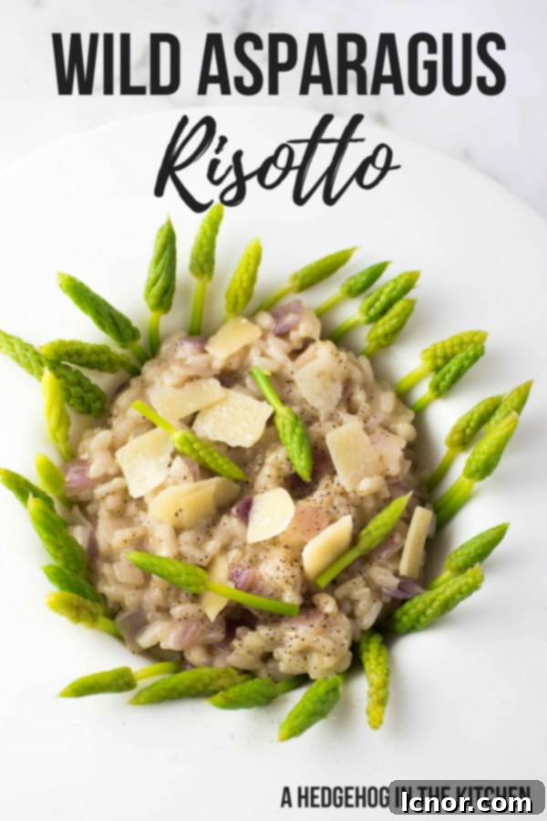 Pin this recipe for Creamy Wild Asparagus Risotto to your Pinterest board for future reference!