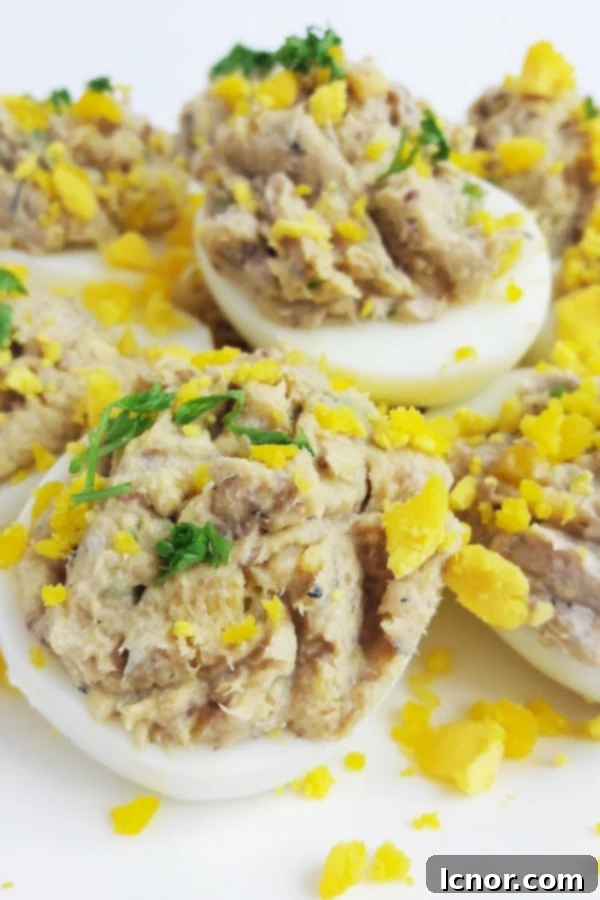 Gourmet deviled eggs recipes - sardine deviled eggs
