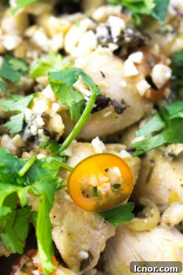 Cambodian lemongrass ginger chicken stir fry