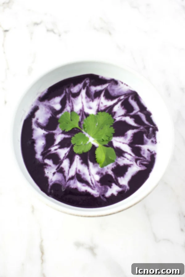 Purple carrot soup vegan