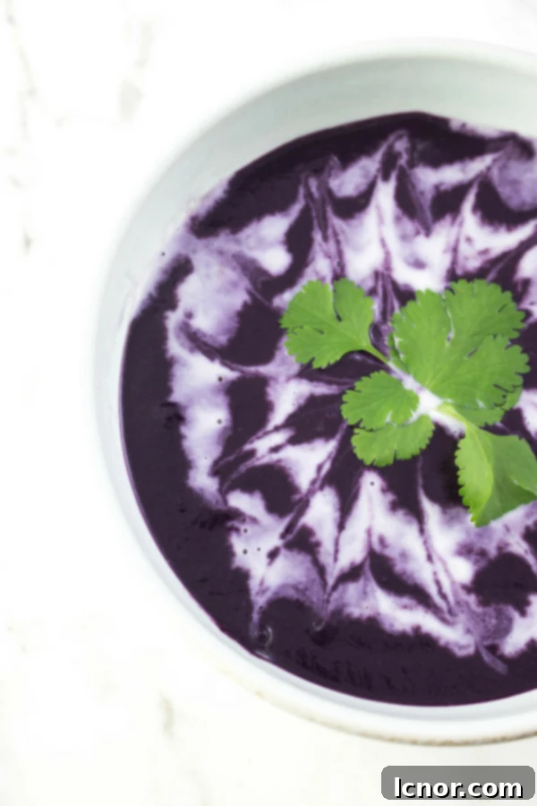 Purple carrot soup vegan