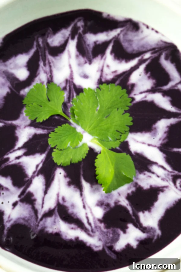 Purple carrot soup vegan