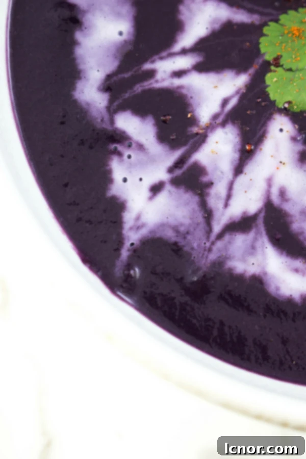 Purple carrot soup vegan