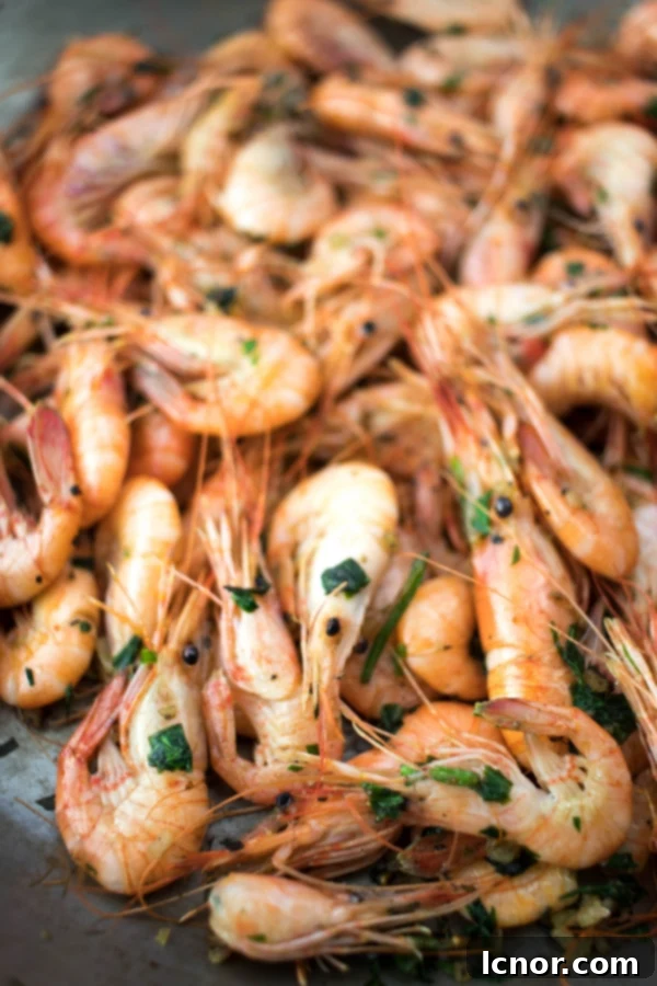 Plated garlic shrimp with parsley, ready to be enjoyed as a French appetizer
