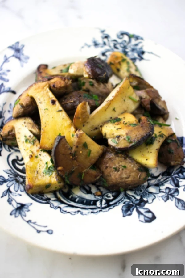 Fresh Porcini Mushrooms and Ingredients
