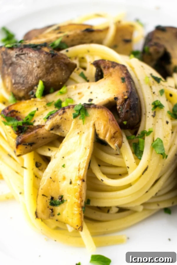 Porcini Mushroom Pasta Garnished