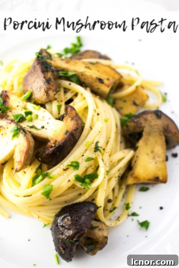 Porcini Mushroom Pasta Pin
