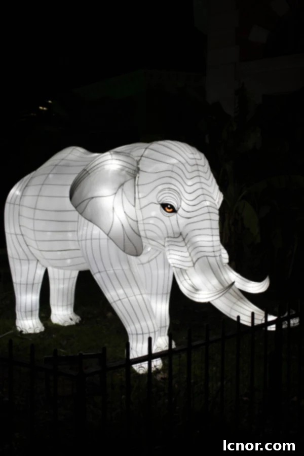 Jardin des Plantes at night with lights