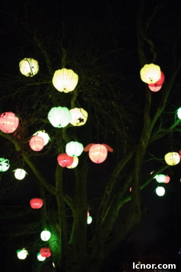 Tree with colored lanterns at Jardin des Plantes
