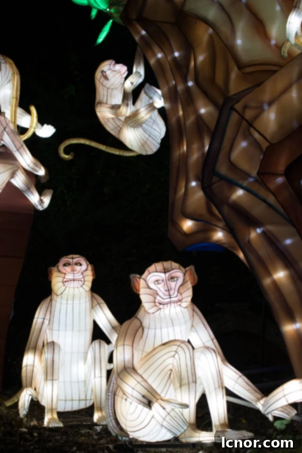 Luminous Animals at Jardin des Plantes
