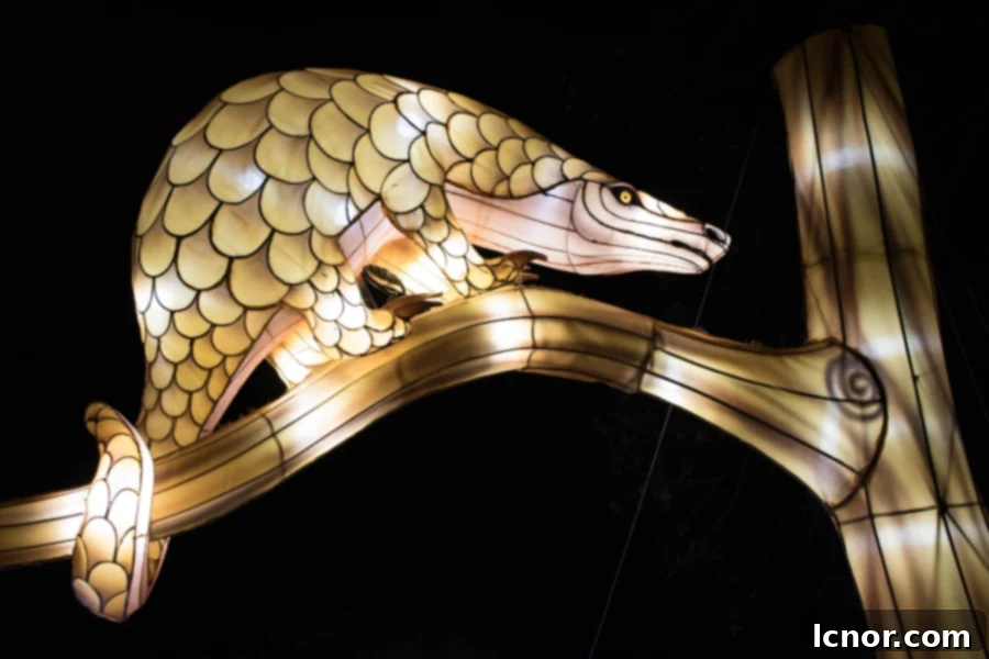 Luminous Armadillo Sculpture at Jardin des Plantes