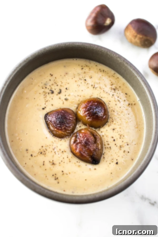 French Chestnut Soup