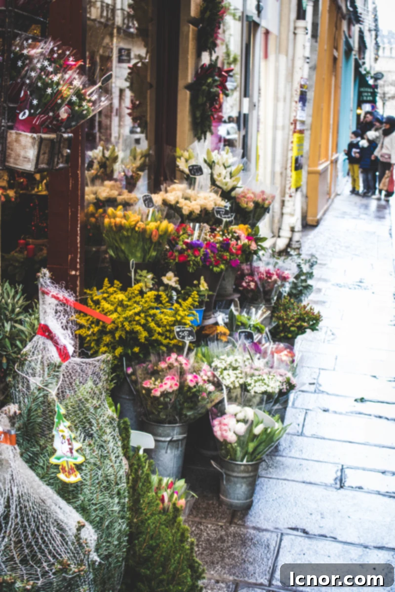 Evening view of a charming street on Ile Saint Louis, Paris, with illuminated shop windows.