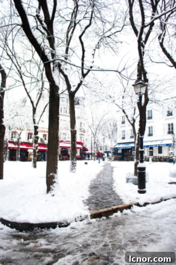 Paris in Winter - Couple walking in a park