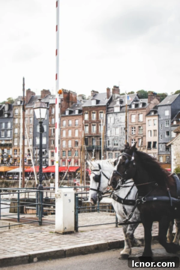 Best Day Trips from Paris - Deauville Beach
