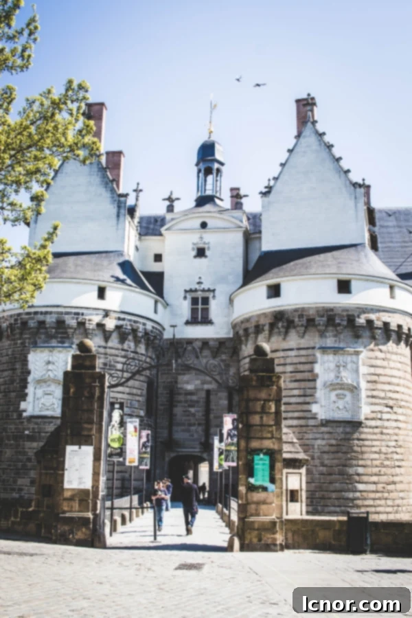 Large chateau in Nantes