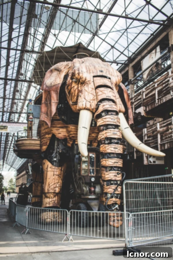 Visit the mechanical elephant in Nantes