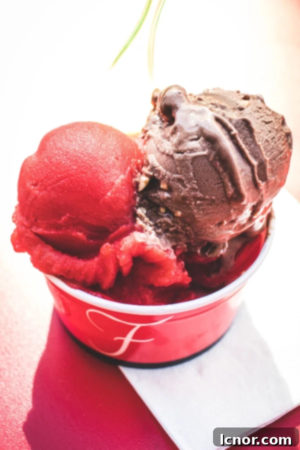 Ice cream from La Fraiserie Nantes 2 scoops of ice cream, red and brown