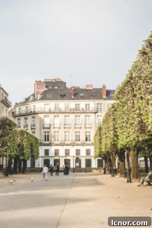 Square with trees and beautiful architecture