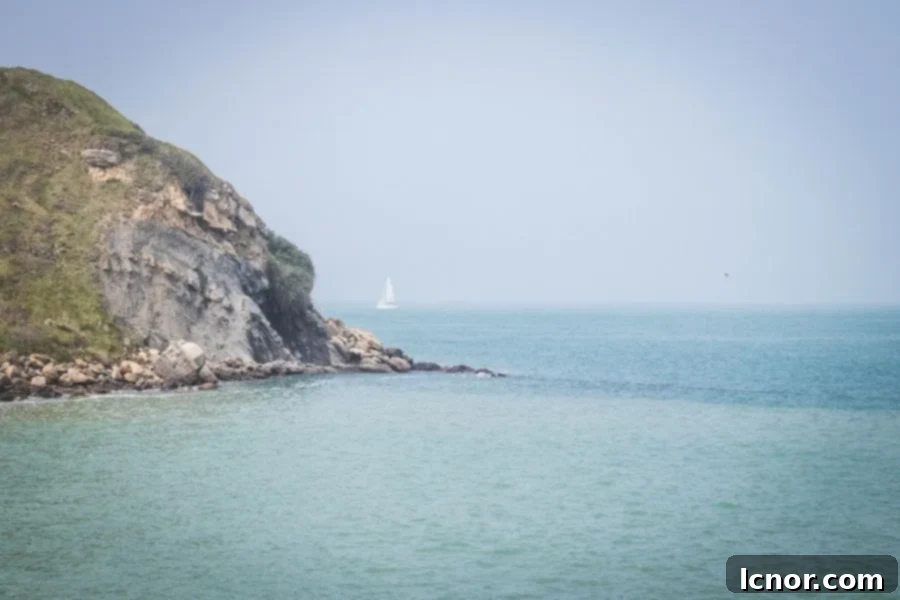 Panoramic view over the English Channel and white cliffs from La Sirene Restaurant in Cap Gris Nez, showcasing the natural beauty of the French coast.