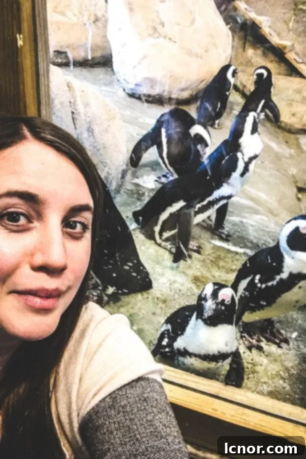 Girl in front of a group of penguins