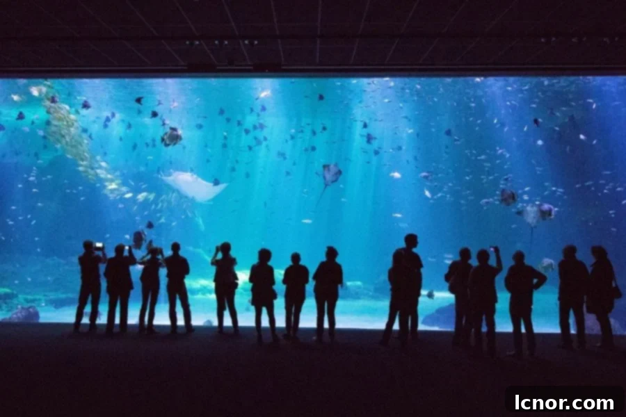 large fish tank filled with fish and people standing in front of it and looking at the fish tank