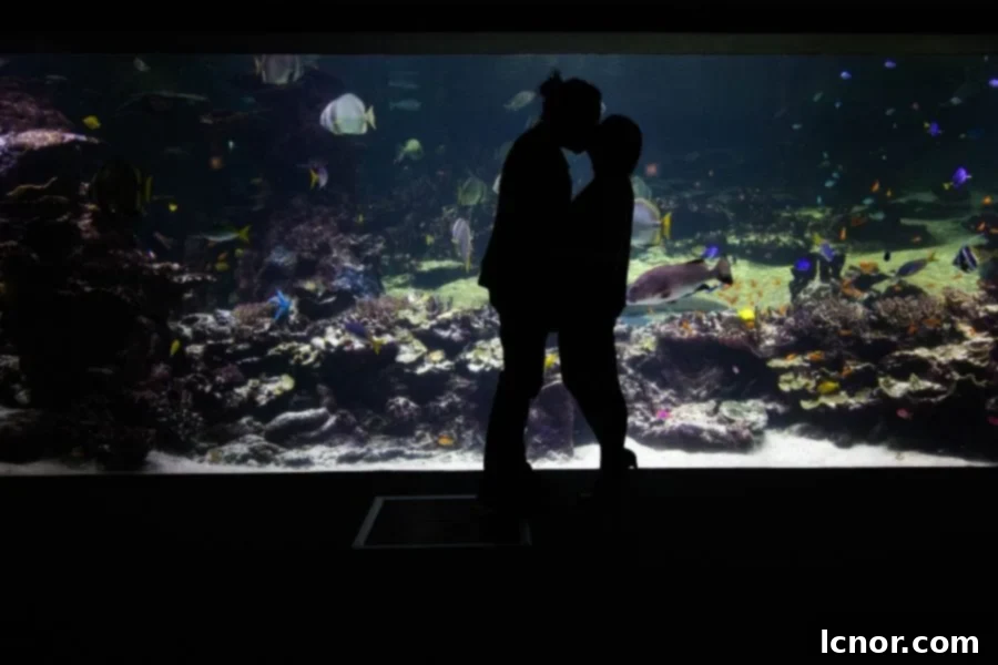 Couple kissing in front of a gigantic aquarium at Nausicaa Aquarium in Boulogne-sur-Mer