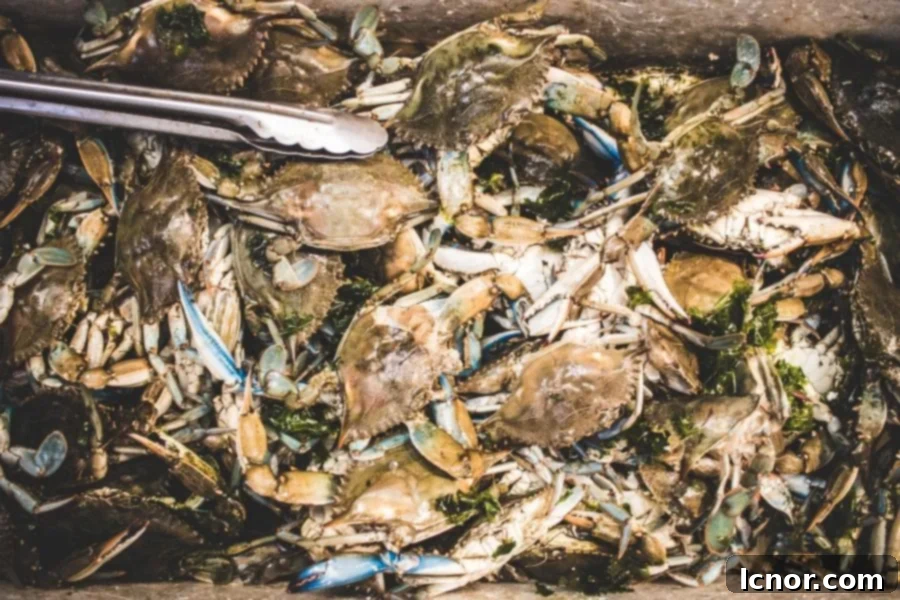 Athens Central Food Market: 10 Must-Visit Reasons 3 Fresh crab at the food market in Athens Greece, ready for sale.