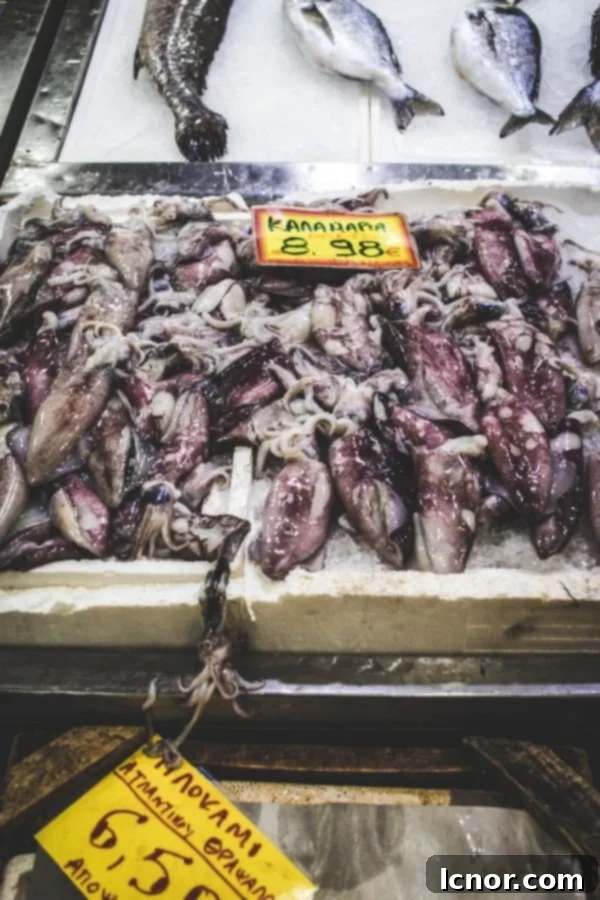 Athens Central Food Market: 10 Must-Visit Reasons 8 Raw squid displayed for sale at the food market in Athens Greece.