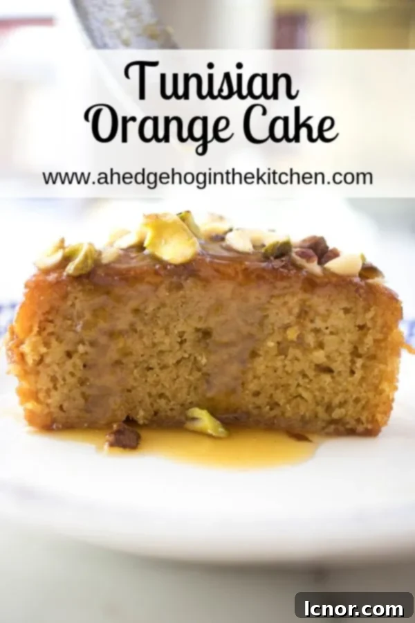 Pinterest pin showing a close-up of a Tunisian orange cake slice with nuts and glaze.